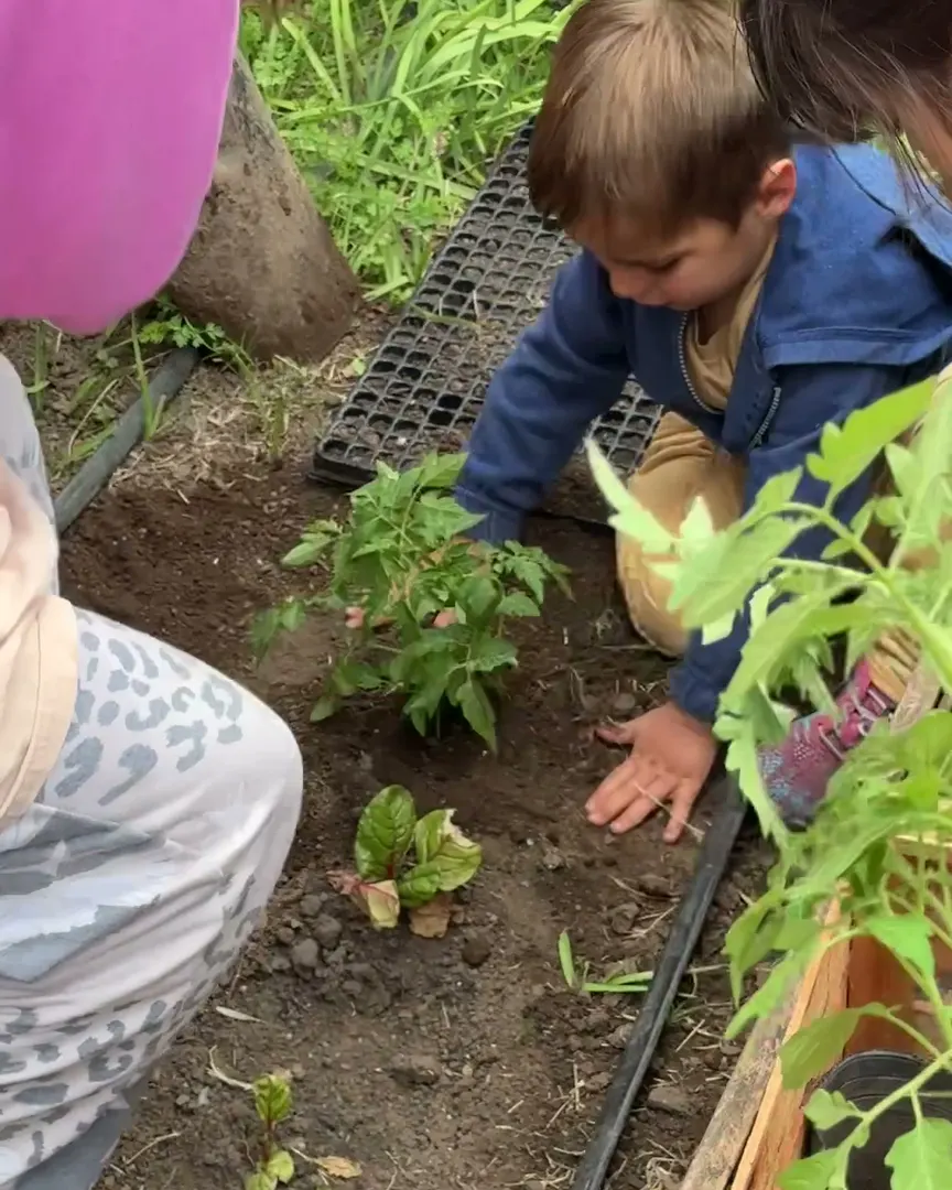 Niño plantando en la huerta de la escuela